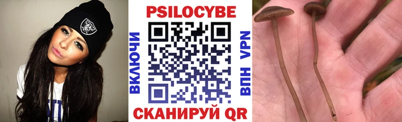 Псилоцибиновые грибы ЛСД  Купить закладки  Первомайск 